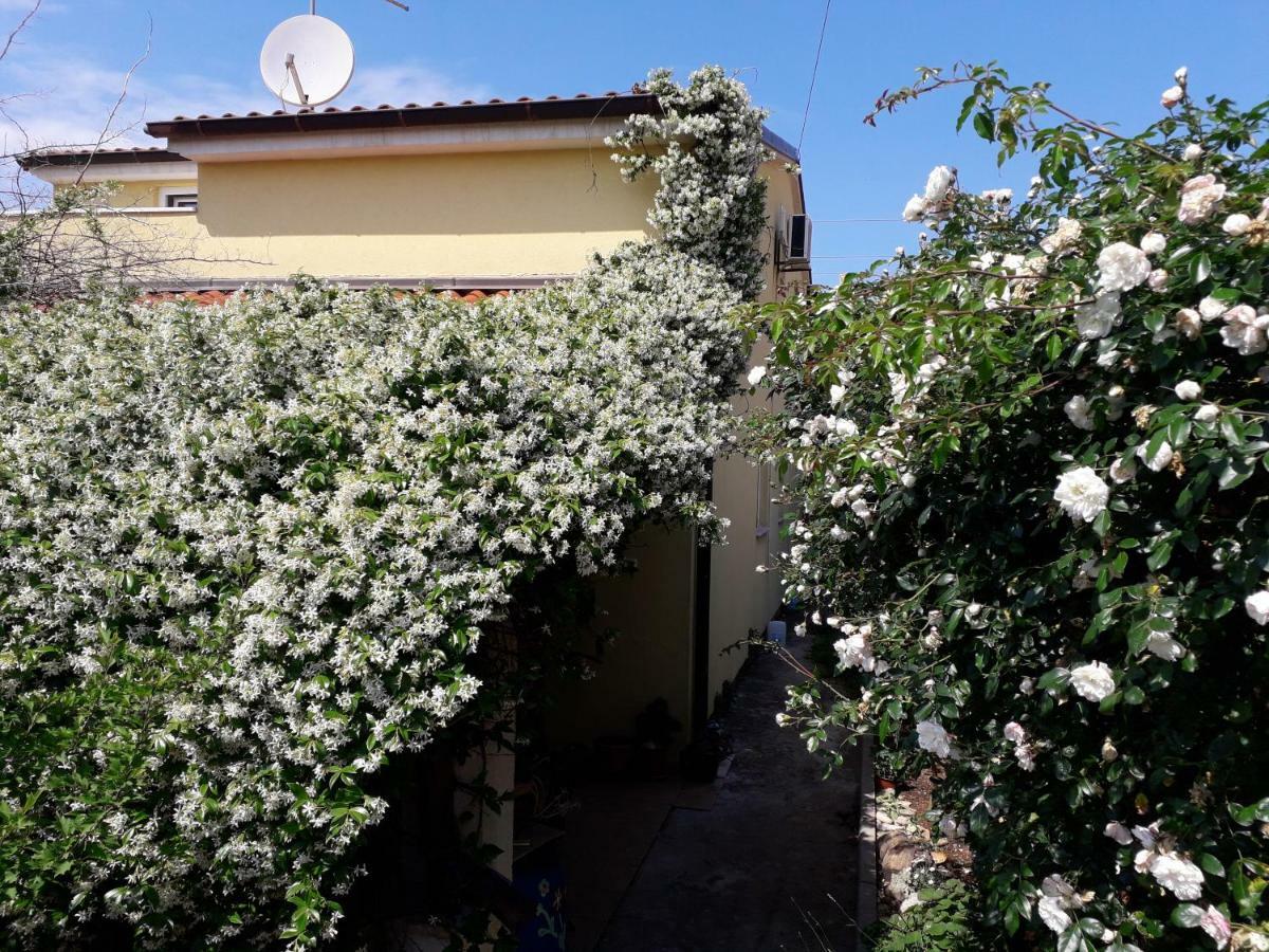 Apartment Samanta Šišan Exteriér fotografie